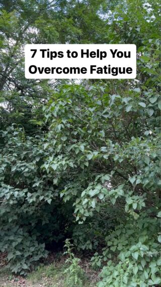 7 tips to help you overcome fatigue naturally!👇 💤 Prioritize Sleep Ensure you’re getting enough quality sleep. Aim for 7-8 hours of uninterrupted rest each night to rejuvenate your body and mind. Create a peaceful sleep environment and establish a consistent bedtime routine. A note to new mamas: uninterrupted sleep each night may be unrealistic in this season of life and that’s expected. Give yourself grace and do your best. You’re doing great! 💧 Stay Hydrated Dehydration is a big contributor to fatigue. Drink 80-100 oz of filtered water with electrolytes daily to stay hydrated. Add a slice of lemon or cucumber for a refreshing twist! ☀️ Get Sunlight and Fresh Air Spending time outdoors exposes you to natural light and fresh air, boosting your mood and energy levels. Take short breaks during the day to step outside, soak up the sun, and breathe in the rejuvenating air. 🥦 Eat Nutrient-Rich Foods Fuel your body with a balanced diet of whole foods. Include vegetables, fruits, high-quality proteins, and healthy fats in your meals. ☕️ Limit Caffeine and Sugar While they may offer temporary energy boosts, excessive caffeine and sugar consumption can lead to energy crashes. Focus on healthier alternatives like herbal teas to sustain your energy levels. 👟 Exercise Regularly Engage in regular physical activity to improve circulation, release endorphins, and boost energy levels. Find activities you enjoy, whether it’s walking, dancing, yoga, weight lifting, or any other form of exercise. Get moving and feel the energy flow! 🧘‍♀️ Practice Stress Management Chronic stress drains your energy. Incorporate stress-reducing techniques like deep breathing, meditation, or mindfulness practices into your daily routine. Prioritize self-care and relaxation.  Which of these tips will you incorporate into your daily life? Feel like your body is stuck in a constant state of fatigue? This is a sign that you need more support than #selfcare. It’s time to identify & address the root causes of your fatigue! Book a call with the @shaeleonard team to learn how we can optimize your energy and get you feeling your best again. 🔗 in bio!